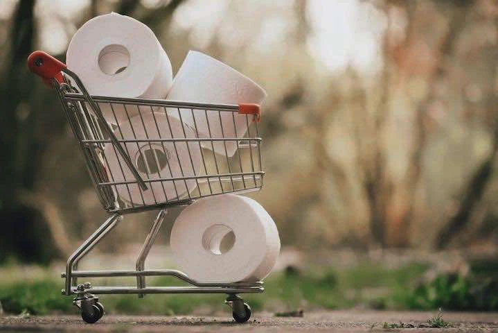 Du papier toilette dans un cadie