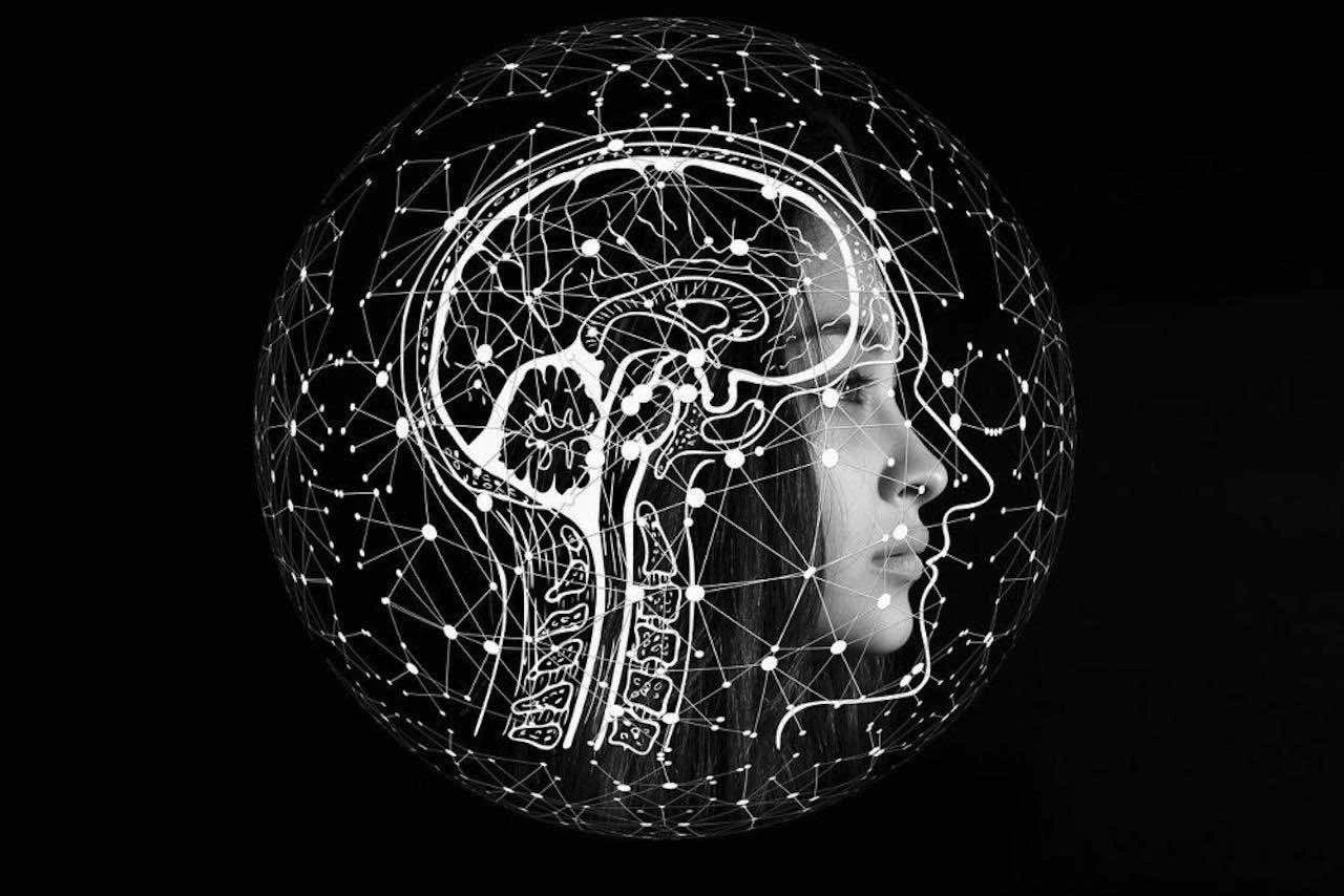 Un cerveau