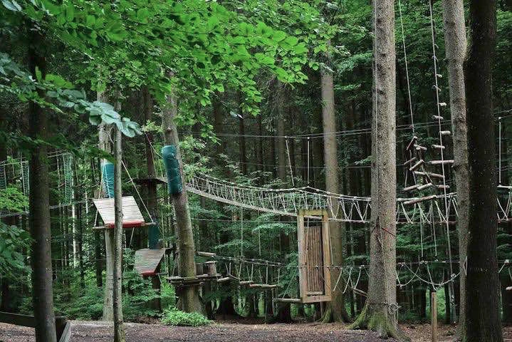 Un parcourt dans les arbres