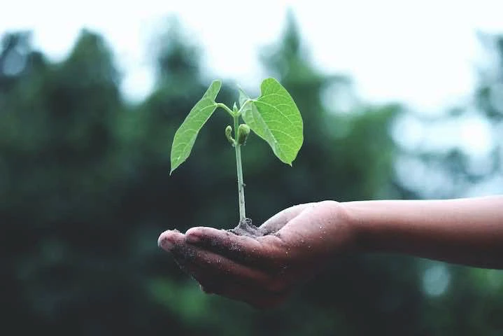 Les PME, un facteur clé de la croissance économique.