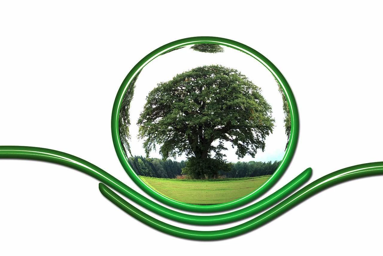 Un arbre dans une bouteille