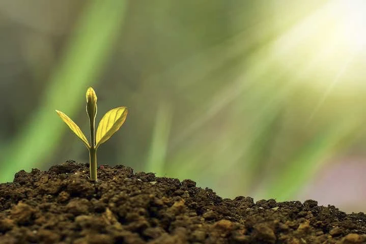 Pourquoi la RSE est cruciale pour les entreprises responsables.