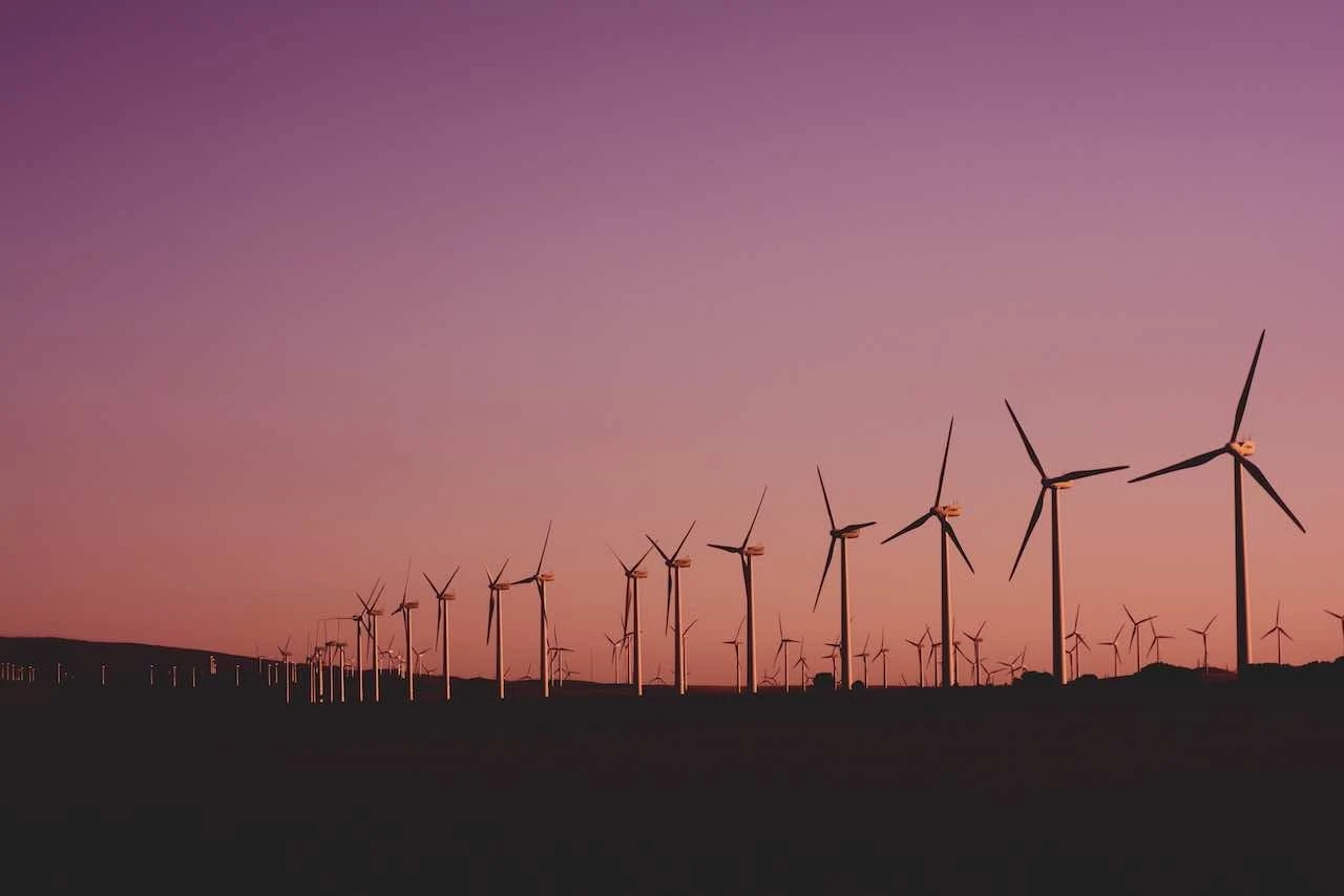 Comment les achats durables peuvent contribuer à la promotion de l'utilisation d'énergies renouvelables.